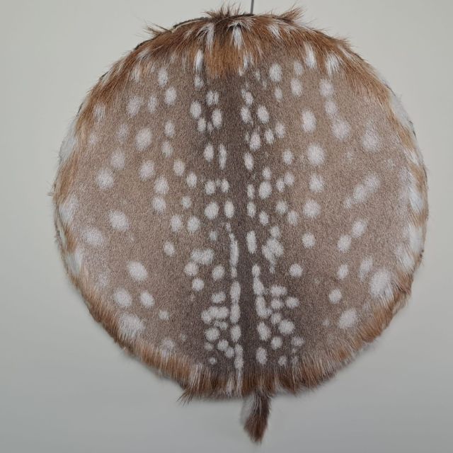 Sjamanendrum Damhert 45 cm nr 2019
