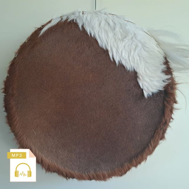 Sjamanendrum Paard 45 cm nr.6104