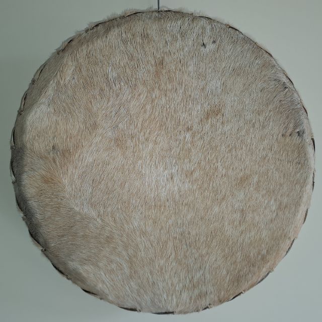 Appaloosa 40 cm 2004