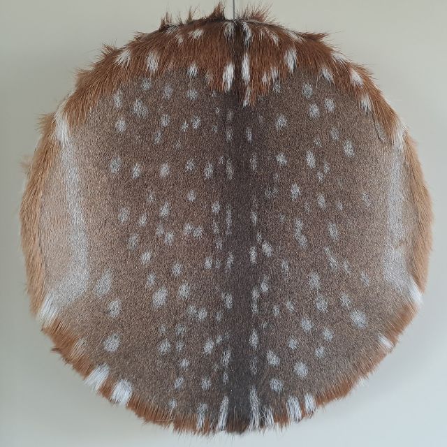 Damhert 50 cm nr 2013