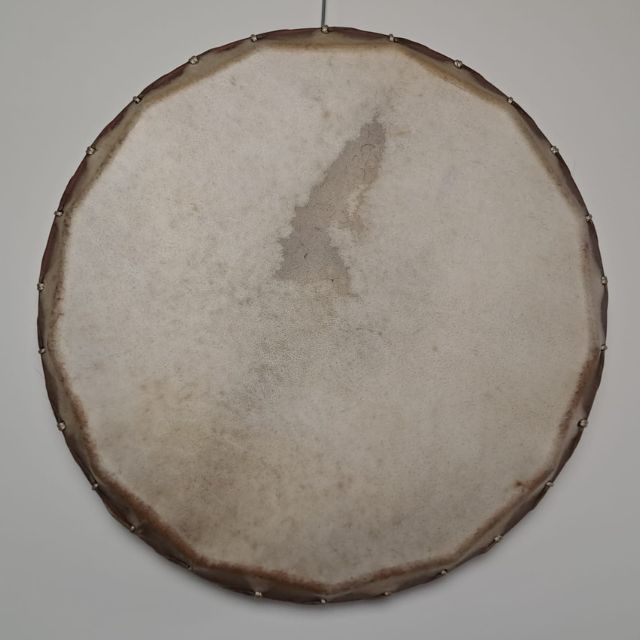 2017 waterbuffel (2)