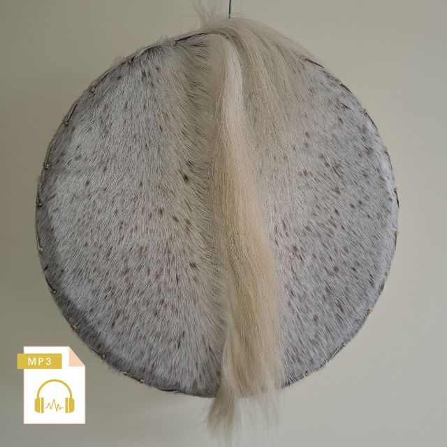 Sjamanendrum Paard 45 cm nr. 6047