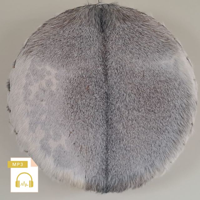 Sjamanendrum Geit 50 cm, Nr. 5011