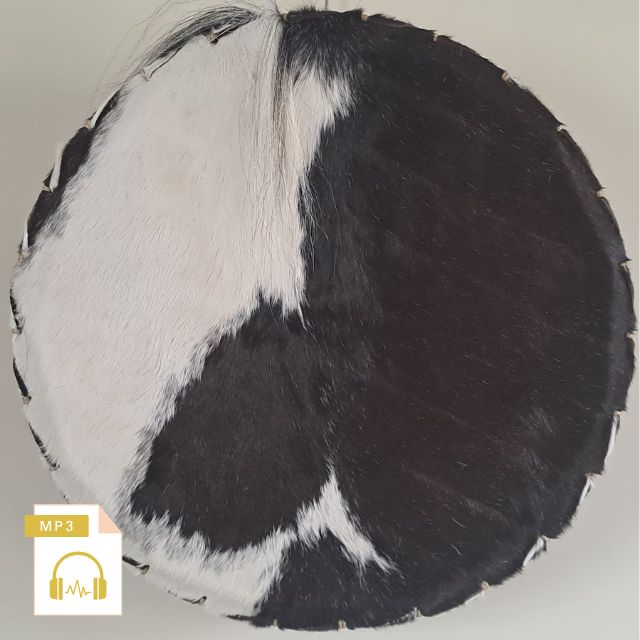 Sjamanendrum Paard 45 cm nr 6046