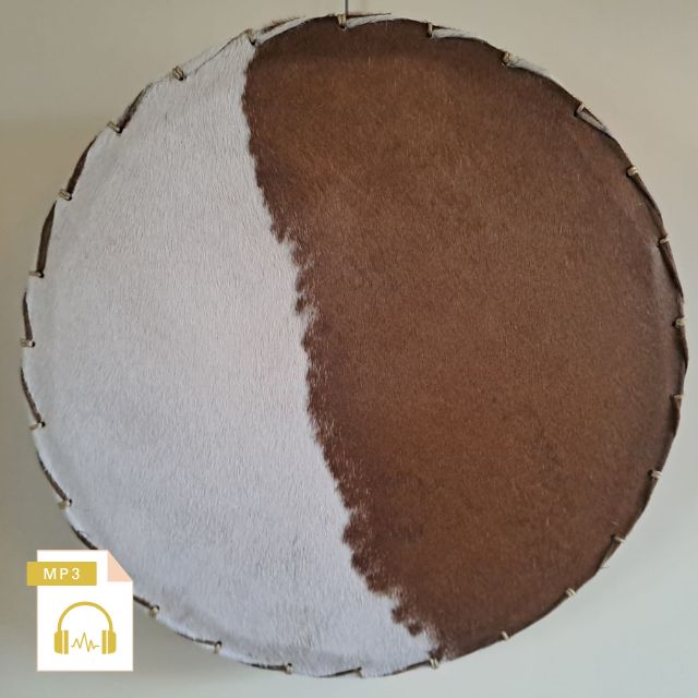 Paard 50 cm nr 8043