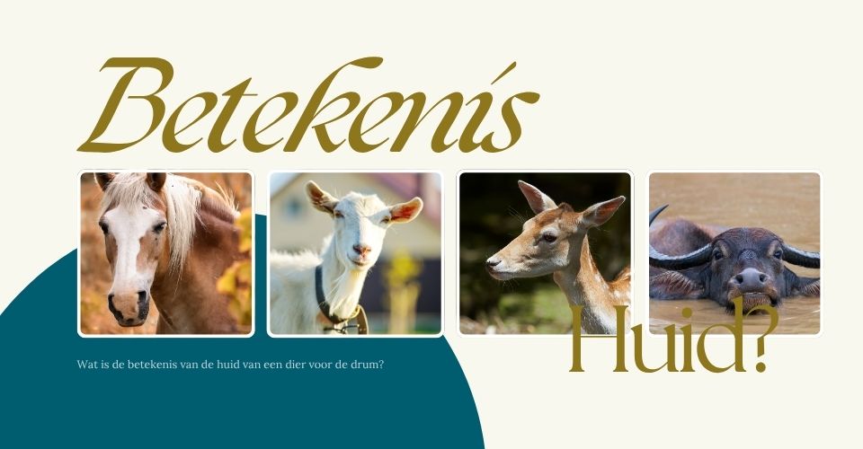 Wat is de betekenis van de huid van een dier voor de drum?