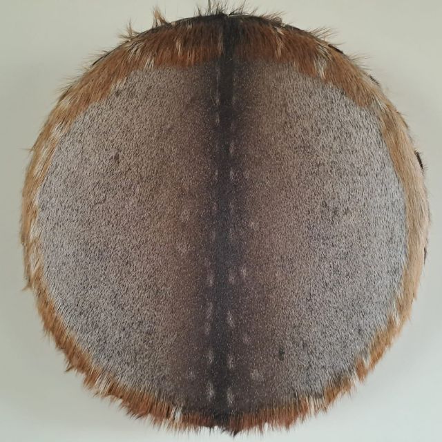 Sjamanendrum Damhert 45 cm nr 3478