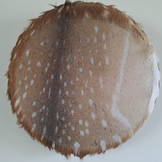 Sjamanendrum Damhert 45 cm nr 2023